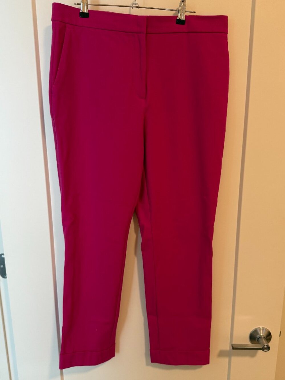 Ann Taylor Hot Pink Dress Pants | Size 12 Tall
